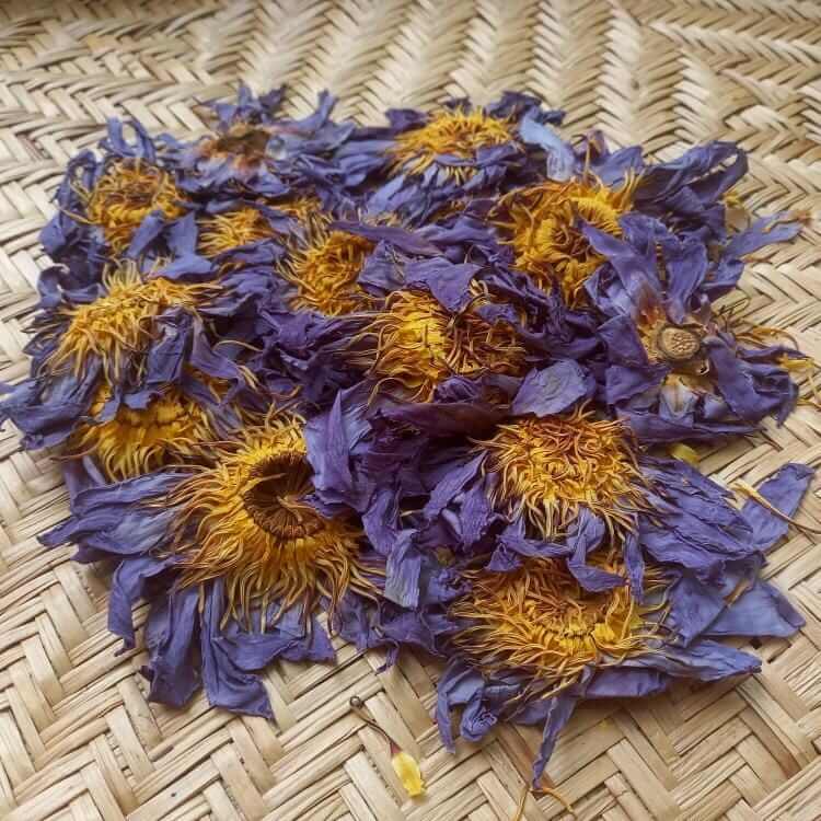 Sri Lankan Dried Organic Blue Lotus