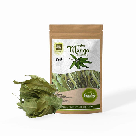 Organic Mango Leaf Tea - Taprobana Naturals