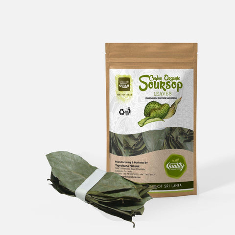 Dried Soursop Leaves - Taprobana Naturals
