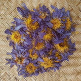 Organic Blue Lotus Flower - Dried Blue Lotus - Taprobana Naturals