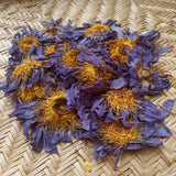 Organic Blue Lotus Flower - Dried Blue Lotus - Taprobana Naturals